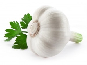 garlic